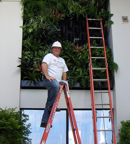 Jim Mumford is riding high as the king of living walls.