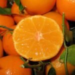 How the fruit fly quarantine has impacted food donations — and how you can help